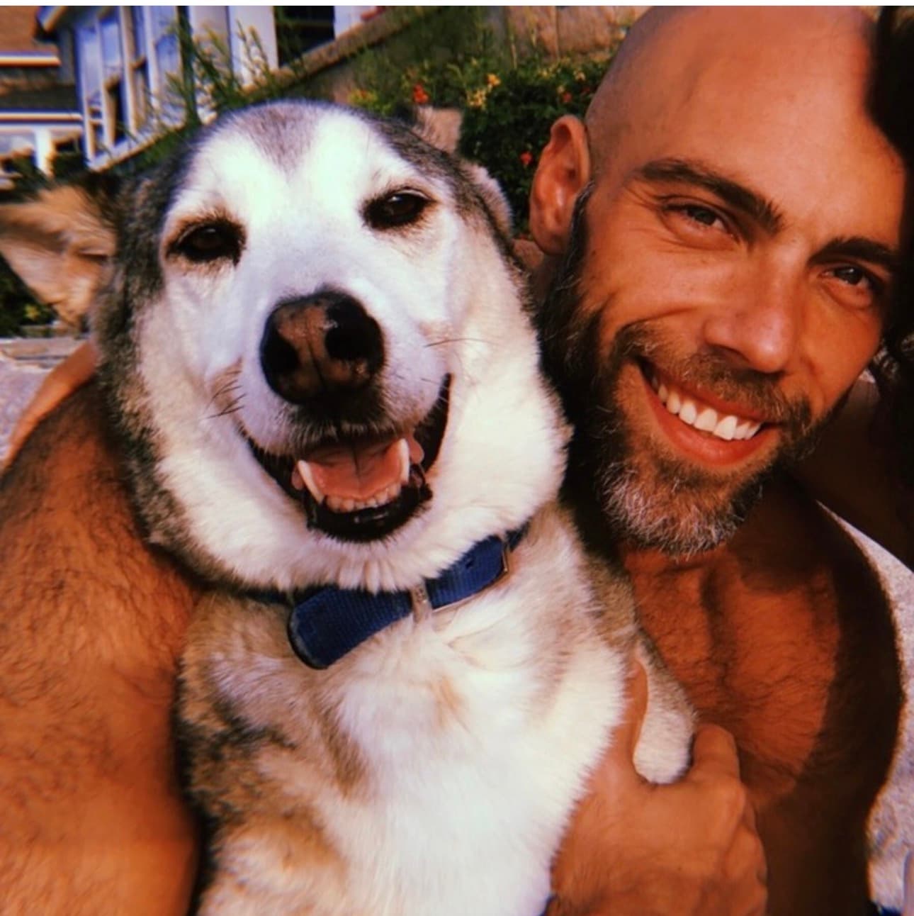 A pet photo, exactly as it was uploaded